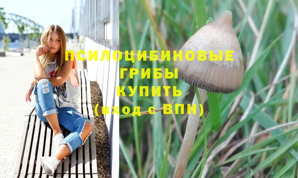 спиды Баксан
