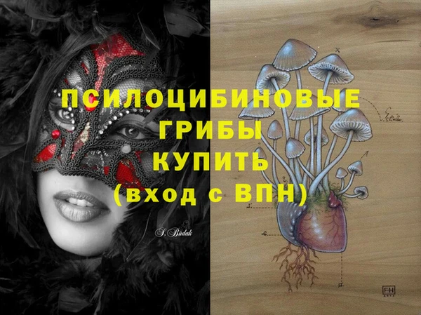 гидра Аркадак