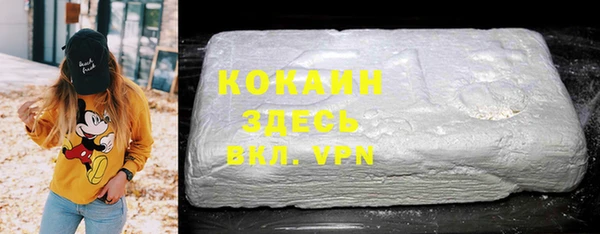 амф Арсеньев